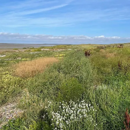 Knaldhytten Feriehus Blåvand