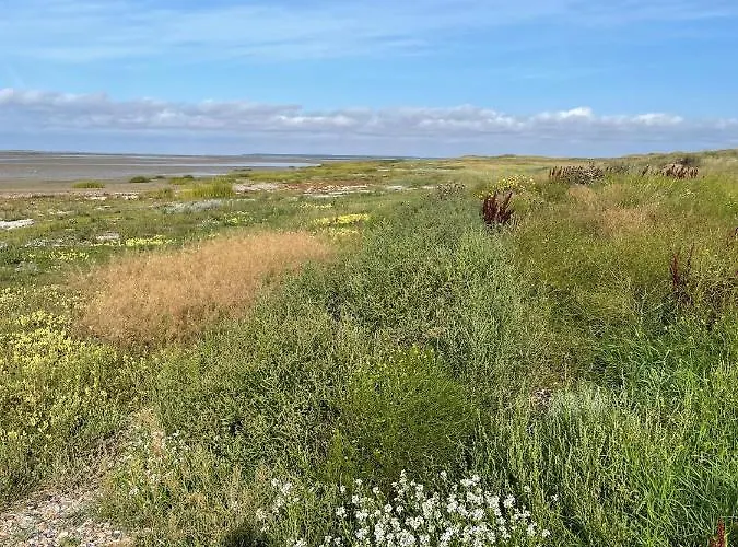 Knaldhytten Feriehus Blåvand