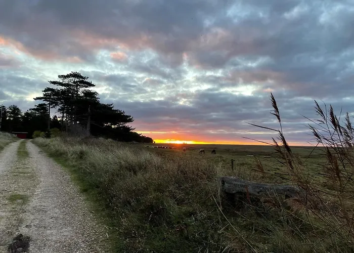 Ferienhaus Knaldhytten *